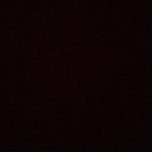 Meet your Posher, Tyson